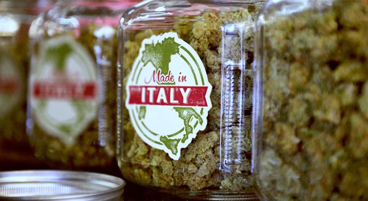 Débat sur la légalisation du cannabis en Italie