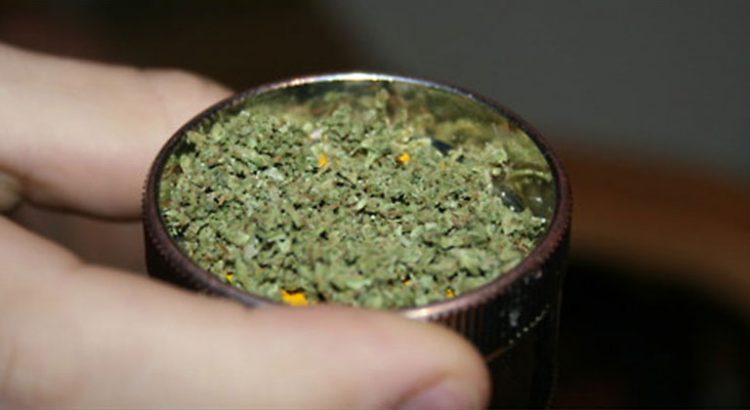 Grinder du cannabis sans grinder
