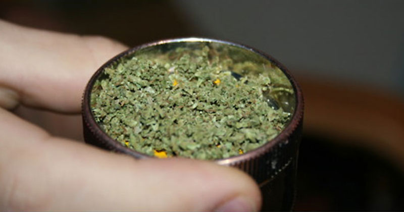 Grinder du cannabis sans grinder