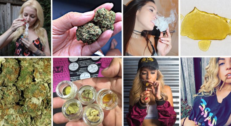 Comptes instagram de weed