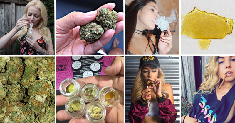 Comptes instagram de weed