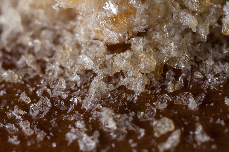 Macro de la Crystalline