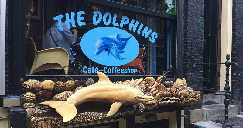 Coffeeshop the Dolphins à Amsterdam
