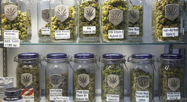 Les variétés de cannabis les plus chères