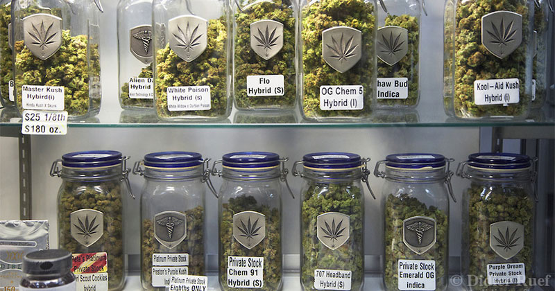 Les variétés de cannabis les plus chères