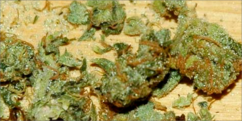 Comment repérer du cannabis coupé - Newsweed