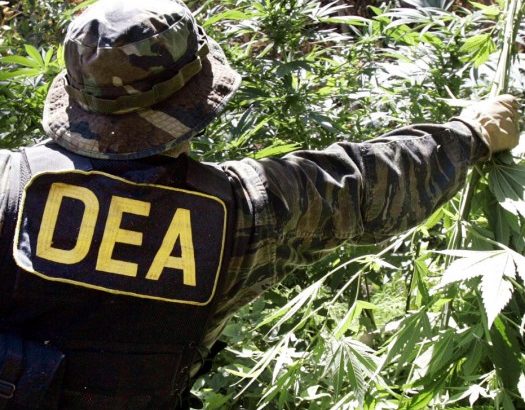 DEA