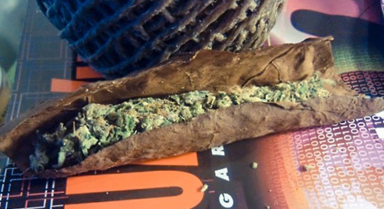 backwood blunt