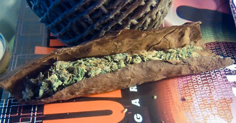 Qu'est-ce qu'un backwoods blunt ? - Newsweed