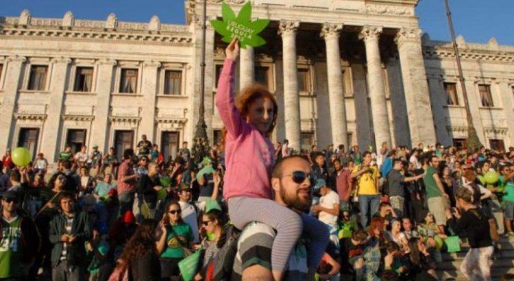 Pas assez de cannabis en Uruguay