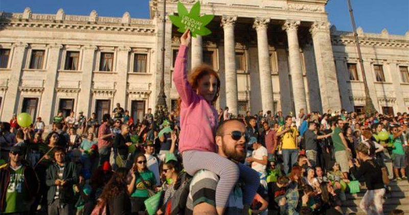 Pas assez de cannabis en Uruguay