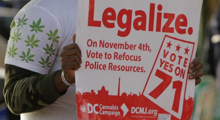 Etats qui voteront pour la légalisation du cannabis en novembre