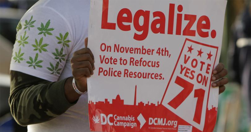 Etats qui voteront pour la légalisation du cannabis en novembre