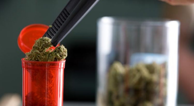Etudes sur le cannabis médical