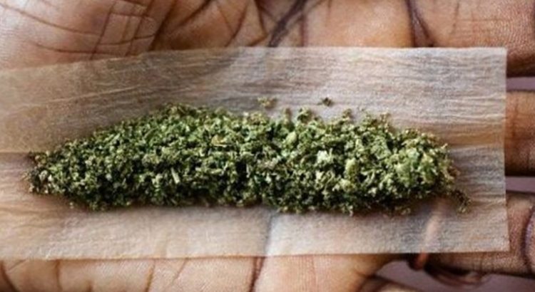 Puissance du cannabis