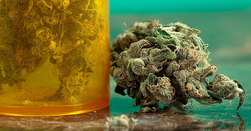 Effet antidouleur du cannabis