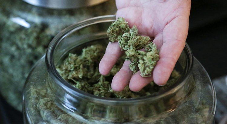 Cannabis en Colombie Britannique