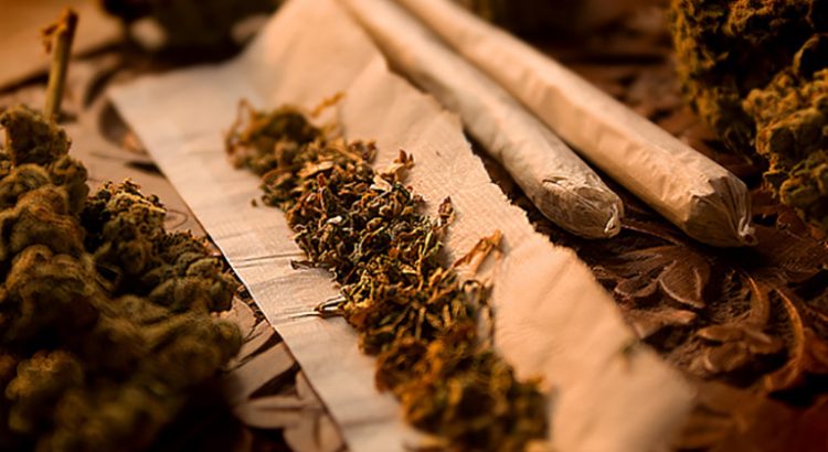 Consommation de cannabis aux Etats-Unis