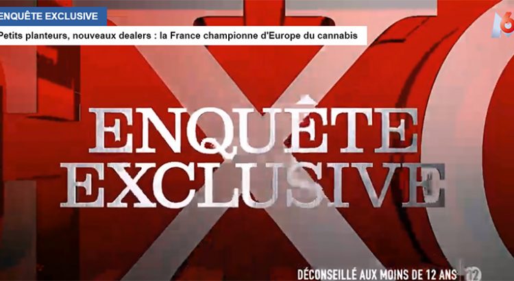 Enquête exclusive sur le cannabis