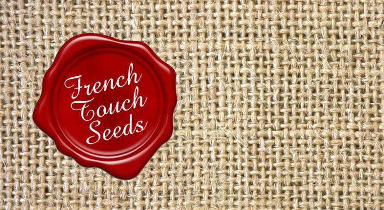 French Touch Seeds