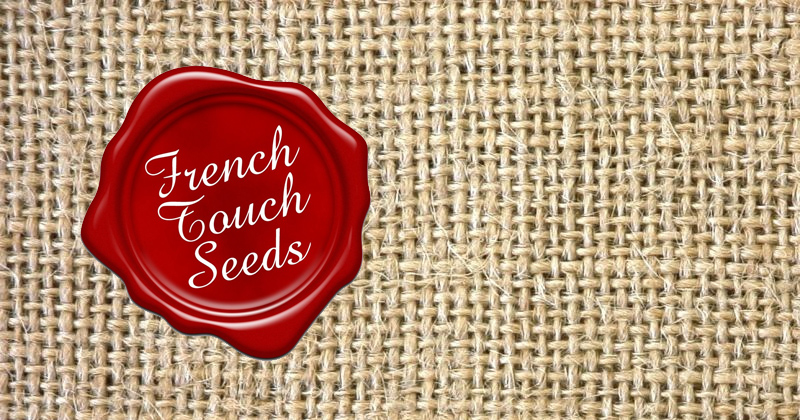 French Touch Seeds