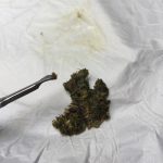 Résultat de la rosin press