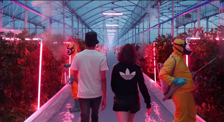 Pub Adidas avec du cannabis