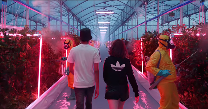 Pub Adidas avec du cannabis