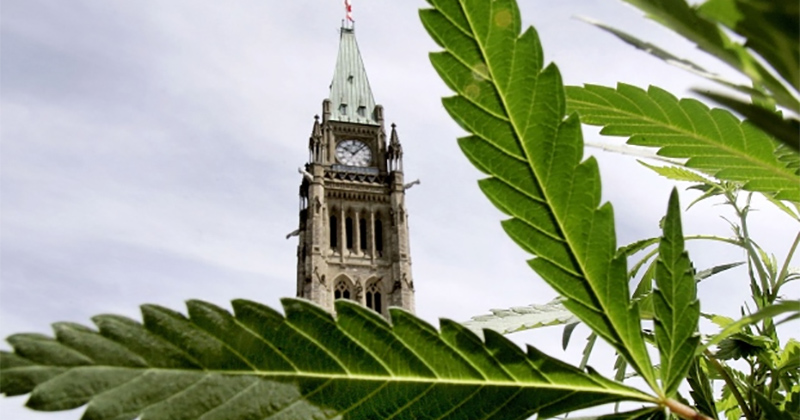 Age minimum d'accès au cannabis au Canada