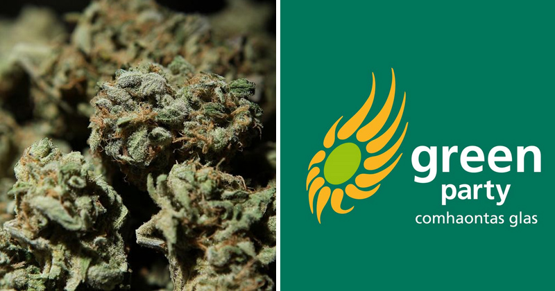 Le Green Party appelle à la légalisation du cannabis médical