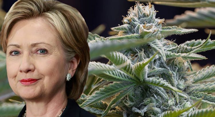 Hillary Clinton en faveur d'une dépénalisation du cannabis
