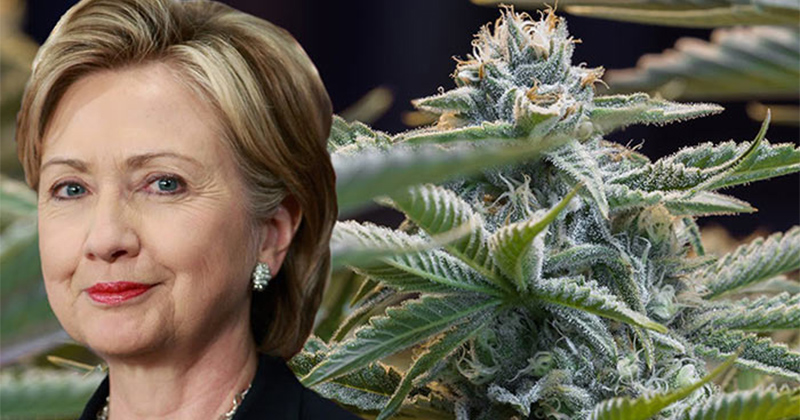 Hillary Clinton en faveur d'une dépénalisation du cannabis