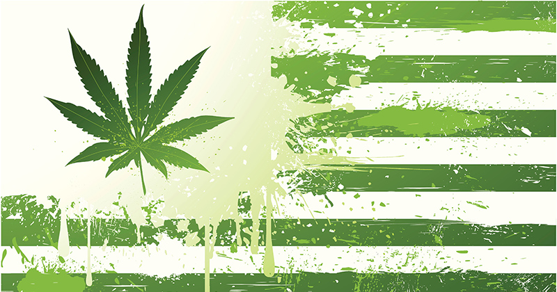 Quels sont les nouveaux Etats américains à légaliser le cannabis