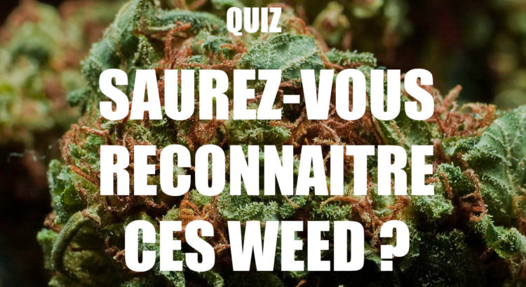 Comment reconnaître une weed