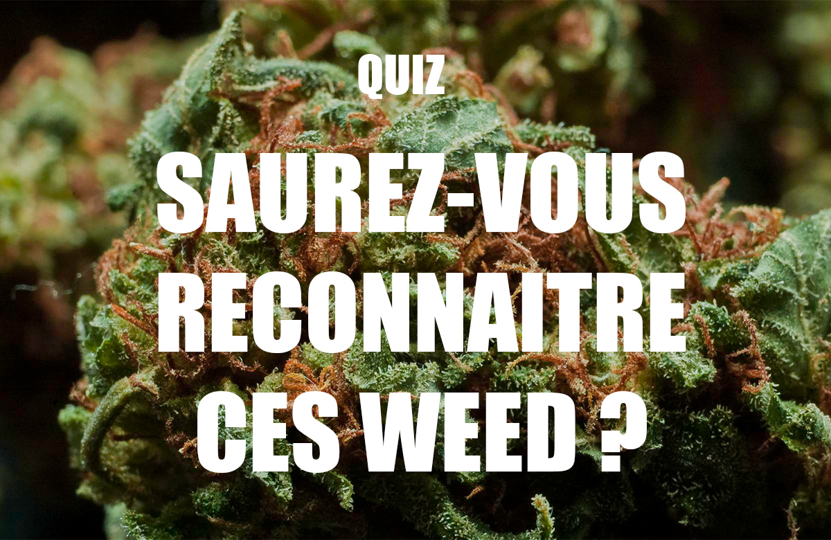 Comment reconnaître une weed