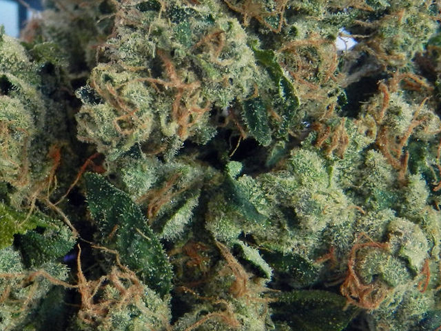 Sour Diesel