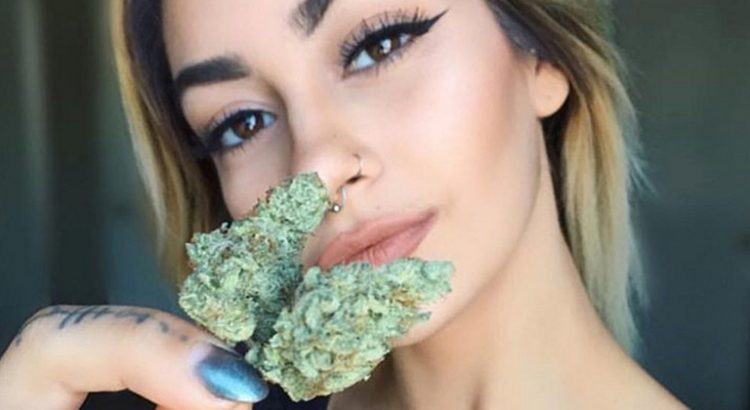 Weed et porno