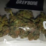GreyBone du Grey Area
