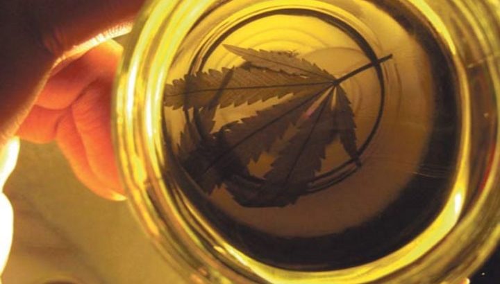 députés argentins huile de cannabis