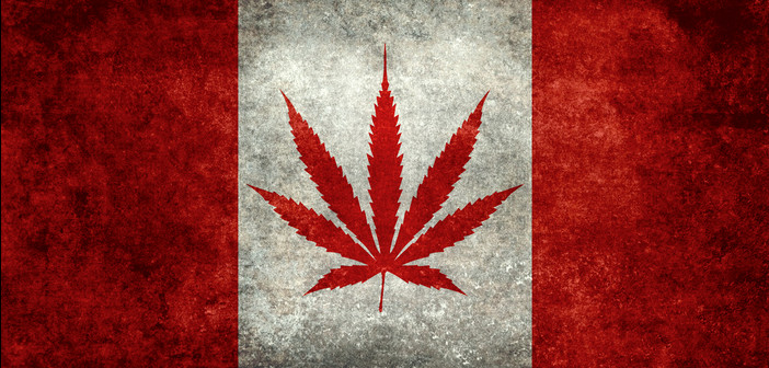 Entreprise canadiennes cannabis