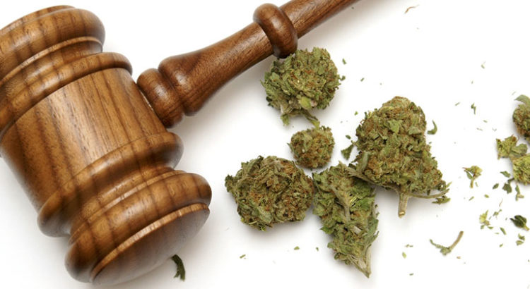 Avocat du cannabis