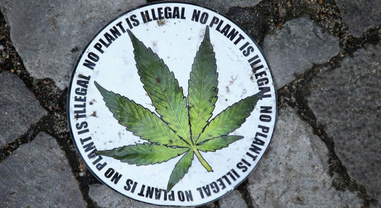 Berlin veut légaliser le cannabis