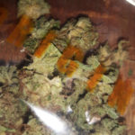 Bubble Gum du Dampkring