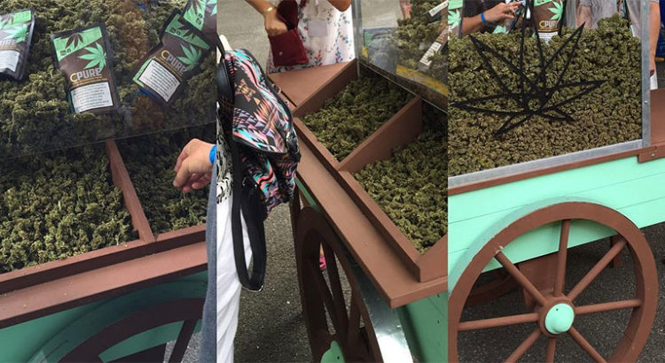 Cannabis suisse au CBD