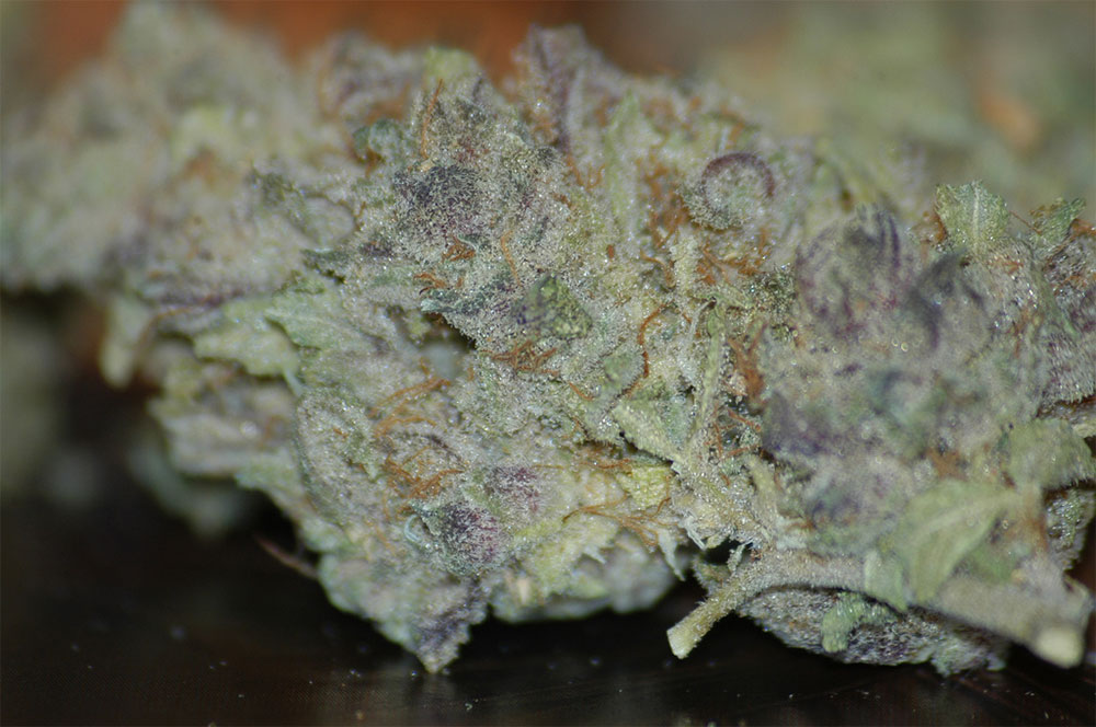 Cotton Candy Kush