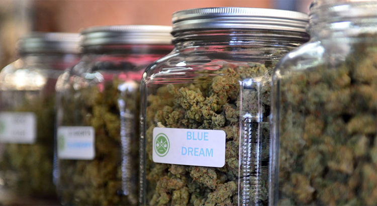 Cannabis médical au Danemark