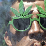 Différences entre dépénalisation et légalisation du cannabis