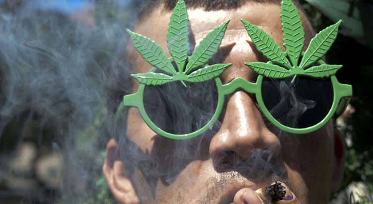 Différences entre dépénalisation et légalisation du cannabis