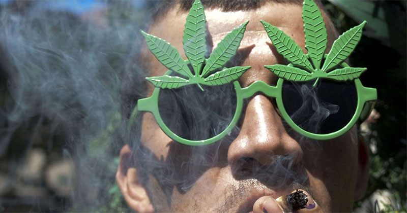 Différences entre dépénalisation et légalisation du cannabis