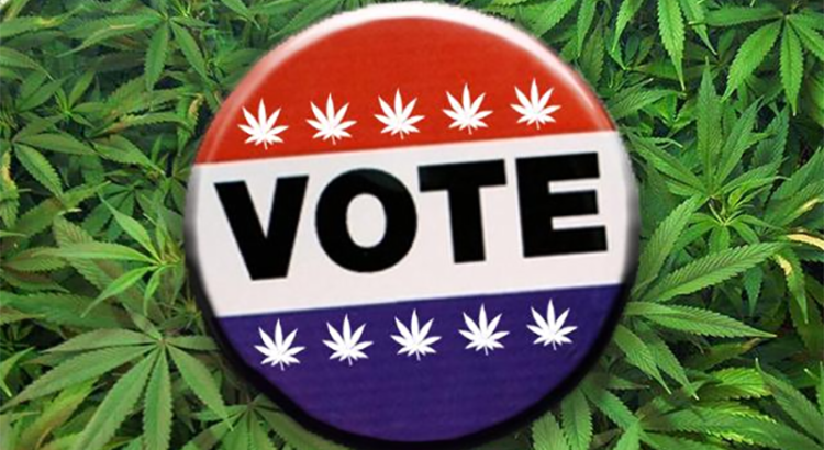 Elections américaines et cannabis